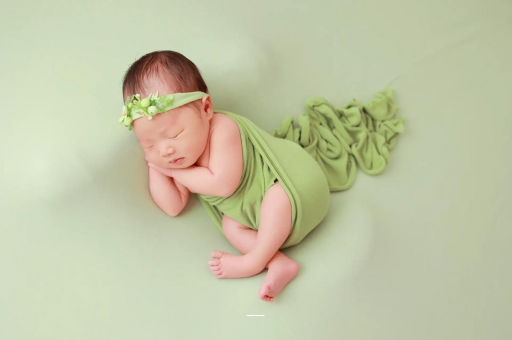 扬中陕西助孕公司名单揭晓助孕行业新动向